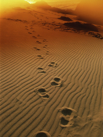 Footprints-In-The-Sand1